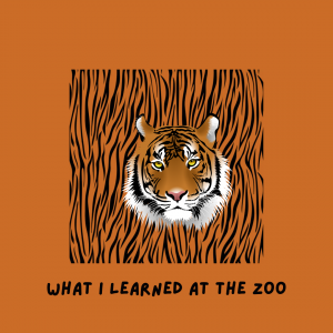 Illustrated tiger. "What I Learned at the Zoo."